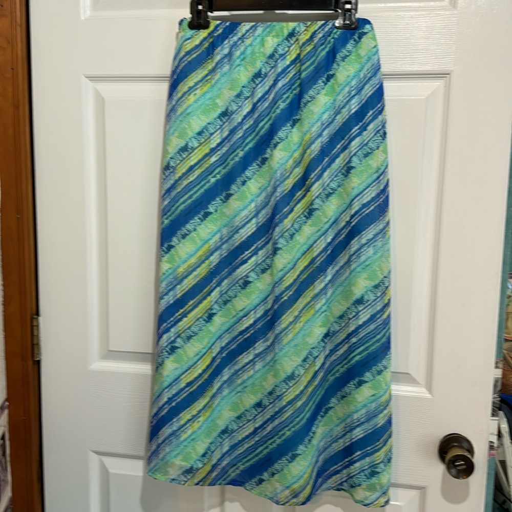 Kim Rogers maxi skirt. NWOT